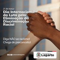Dia Internacional da Luta pela Eliminação da Discriminação Racial