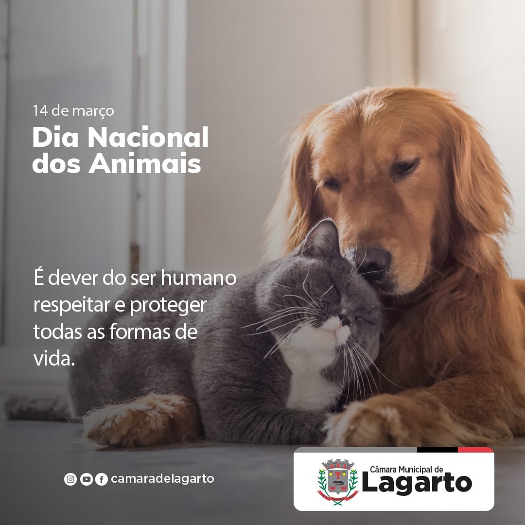 Dia Nacional dos Animais